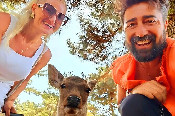 Kyoto and Nara Day Tour From Osaka with Deer Sightings - Experience the Best of Kyoto and Nara in a Day from Osaka