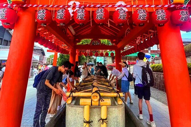 Kyoto and Nara Day Tour From Osaka with Deer Sightings - Who Is This Tour Best For?