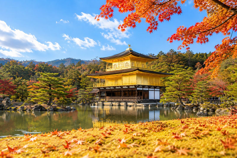 Kyoto and Nara Day Tour(Optional upgrade to Wagyu "Kobe Beef" lunch) - A guide-led day with room to wander
