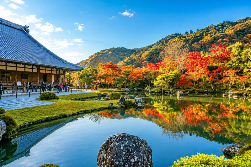 Kyoto and Nara Day Tour(Optional upgrade to Wagyu "Kobe Beef" lunch) - Is this Kyoto and Nara day tour worth booking?