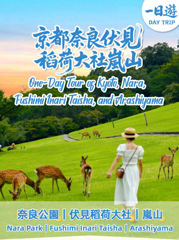 Kyoto and Nara Full-Day World Heritage Tour including Deer Feeding Experience - A big day across Nara and Kyoto