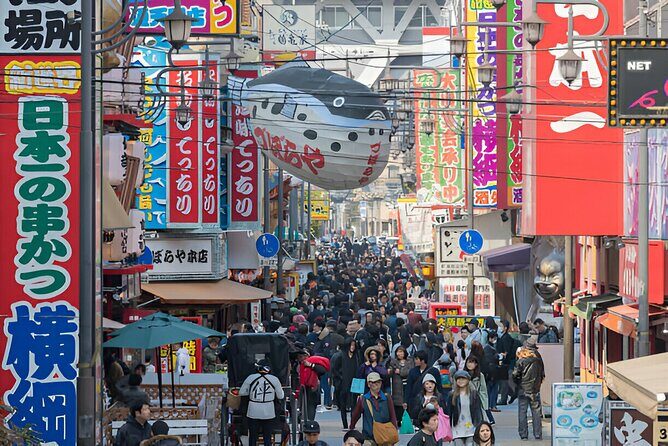 Kyoto and Nara Private Customizable Day Trip by Luxury Car - Key Points