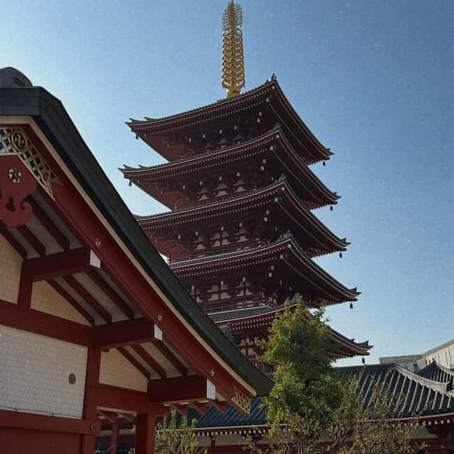 Kyoto and Nara: Private Tour with English speaking Guide - Key Points