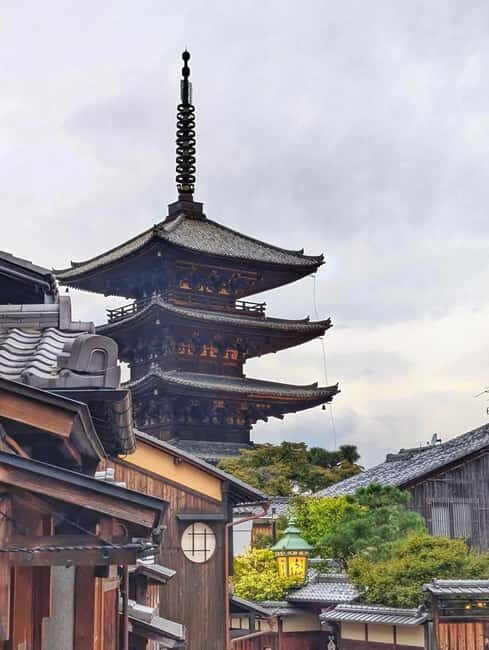 Kyoto and Nara: Private Tour with English speaking Guide - Who Should Consider This Tour?