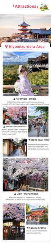 Kyoto and Nara Small Group 1-Day Tour: Nara Park Cute Deer, Kiyomizu-dera Temple, Fushimi Inari Taisha (Optional Hotel Pickup/Private Charter) - A big day with less time spent changing trains