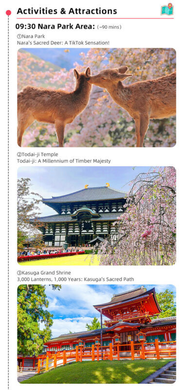 Kyoto and Nara Small Group 1-Day Tour: Nara Park Cute Deer, Kiyomizu-dera Temple, Fushimi Inari Taisha (Optional Hotel Pickup/Private Charter) - Is the small-group price good value?
