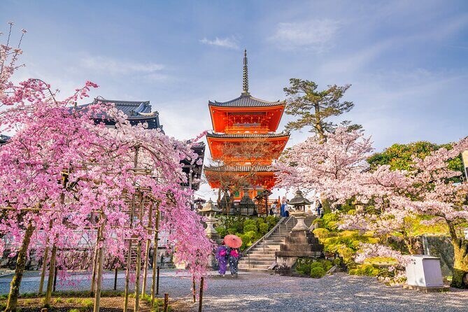 Kyoto and Nara Small Group Tour from Osaka - Key Points