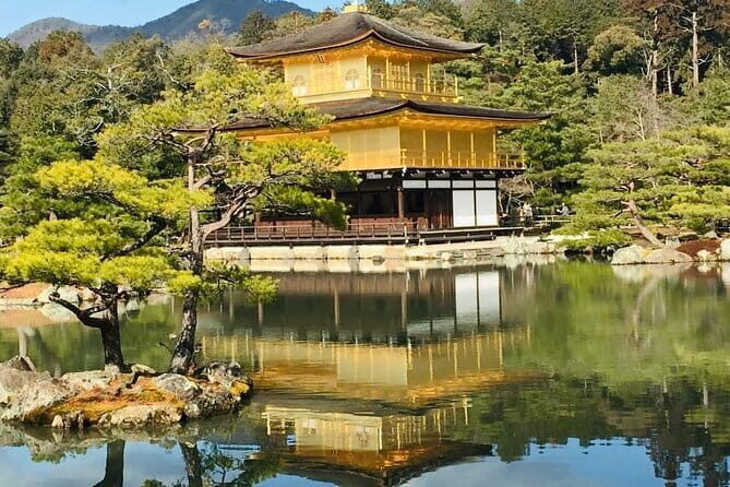 KYOTO and NARA TOUR with FREE ENTRANCE FEE(DRIVER ONLY) - Experience the Best of Kyoto and Nara in One Day