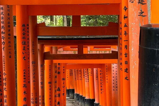 KYOTO and NARA TOUR with FREE ENTRANCE FEE(DRIVER ONLY) - Authentic Experiences and Value