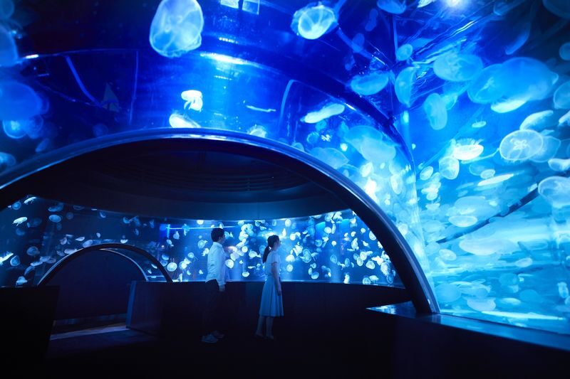 Kyoto Aquarium Admission Ticket - How to plan a one-to-three-hour visit