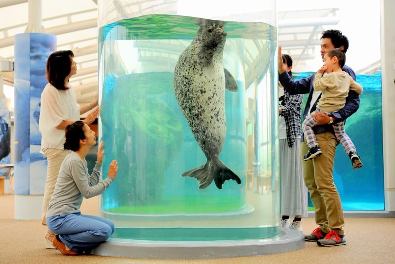 Kyoto Aquarium Admission Ticket - Getting there and visiting comfortably
