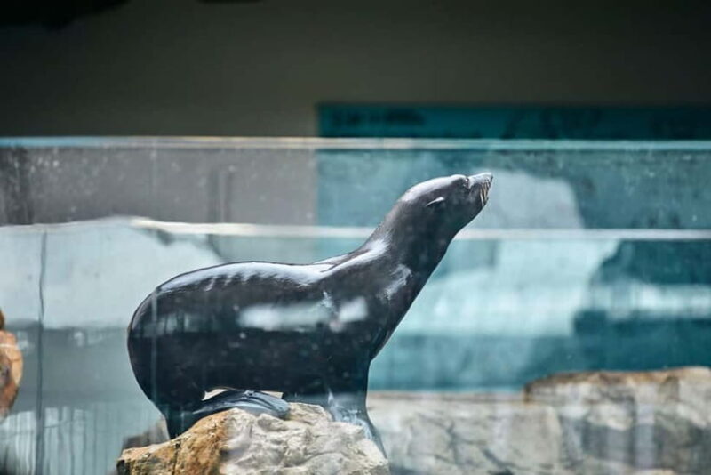 Kyoto Aquarium Admission Ticket - Frequently Asked Questions