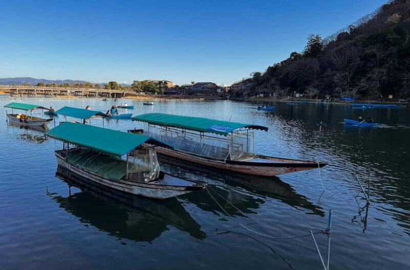 Kyoto: Arashiyama and Bamboo Forest Tour - Key Points