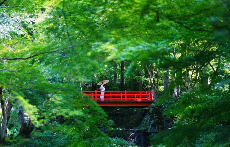 Kyoto Arashiyama and Sanzen-in Zen Garden One-Day Tour Experience - At a glance