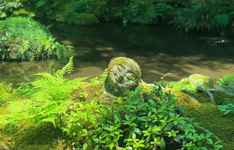 Kyoto Arashiyama and Sanzen-in Zen Garden One-Day Tour Experience - Sagano railway and foot bath: check the fine print