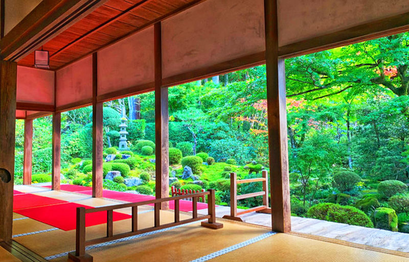 Kyoto Arashiyama and Sanzen-in Zen Garden One-Day Tour Experience - Is $44.89 good value?