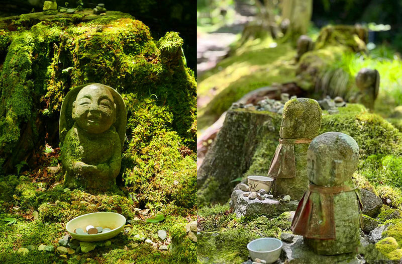 Kyoto Arashiyama and Sanzen-in Zen Garden One-Day Tour Experience - Who should book this day tour?