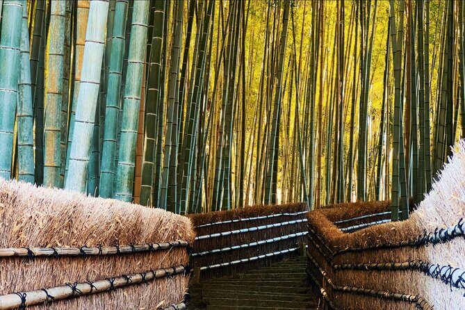 Kyoto: Arashiyama, bamboo forest and beyond - Kyoto: Arashiyama, Bamboo Forest, and Beyond – A Detailed Review