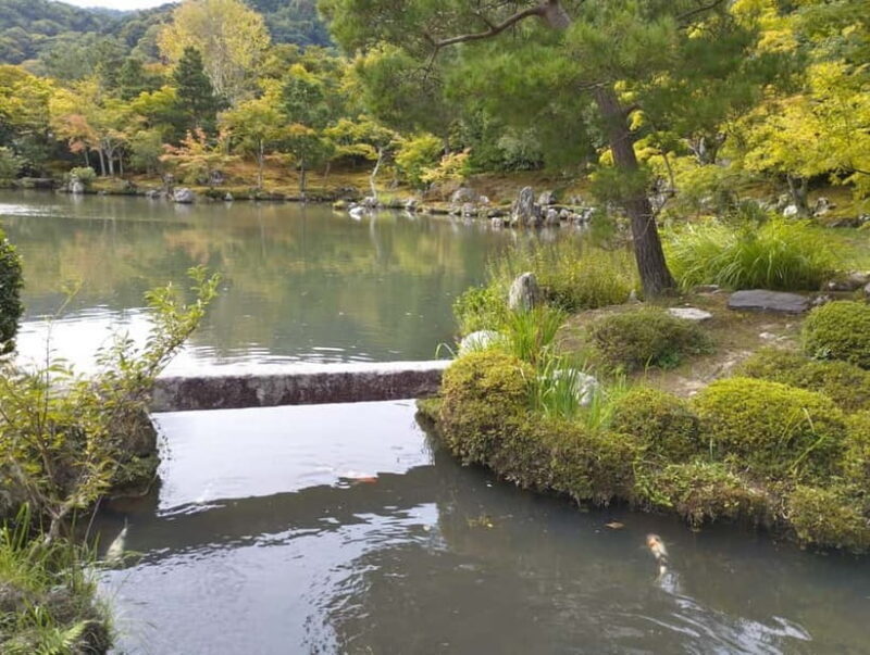 Kyoto: Arashiyama Bamboo Forest and Nijo Castle Private Tour - Final Thoughts