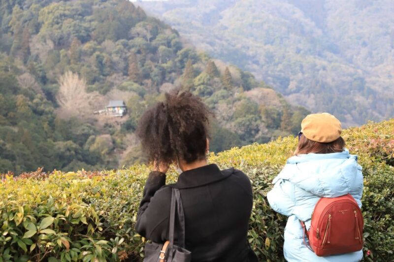 Kyoto Arashiyama Bamboo Forest Customized Private Tour - The Sum Up