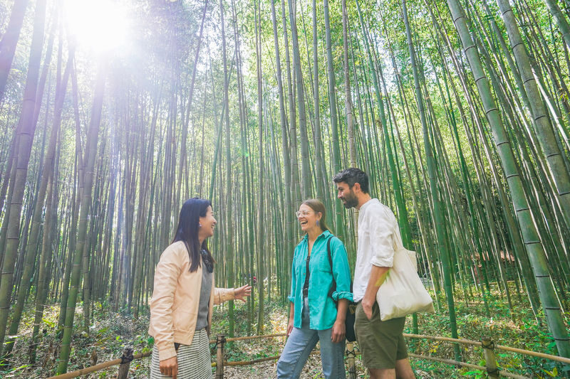 Kyoto Arashiyama Bamboo Forest & Garden Half Day Guided Walking Tour - What to know before you book