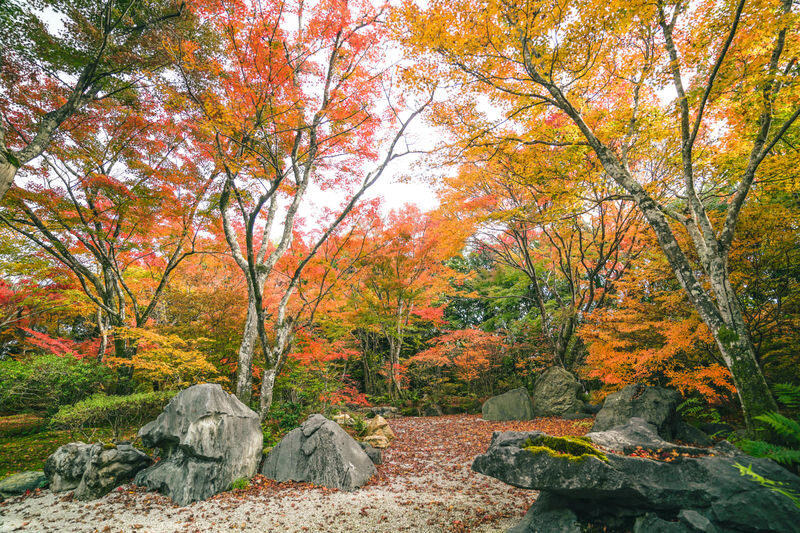 Kyoto Arashiyama Bamboo Forest & Garden Half Day Guided Walking Tour - Okochi Sanso and a view from the hillside