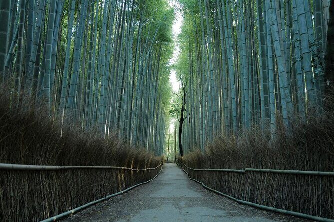 Kyoto Arashiyama Bamboo Forest Hiking TourHidden Temples - Key Points