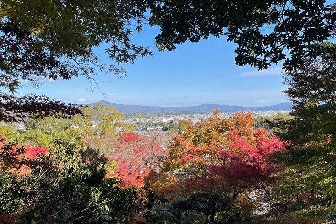 Kyoto Arashiyama Bamboo Forest Hiking TourHidden Temples - Who Will Love This Tour?