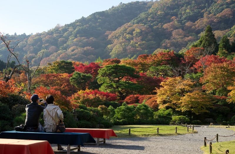 Kyoto Arashiyama Bamboo Forest & Togetsukyo Bridge Half-Day Small Group Tour - A half-day way to see two sides of Arashiyama