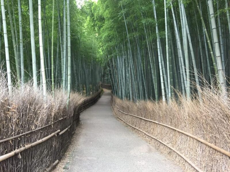 Kyoto, Arashiyama: Bamboo Grove Half-Day Private Guided Tour - Exploring Kyotos Arashiyama: A Practical Guide to the Bamboo Grove Half-Day Tour