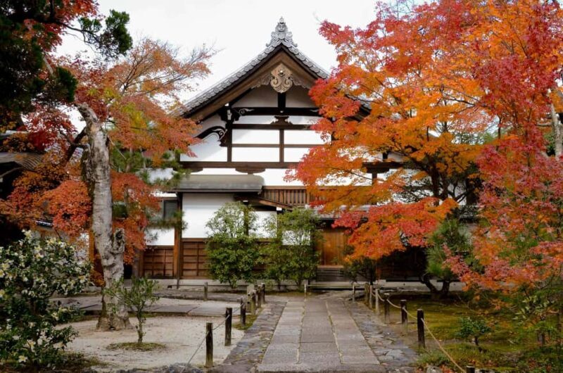 Kyoto: Arashiyama Bamboo, Togetsukyo bridge, Sanso, and more - Who Will Love This Tour?