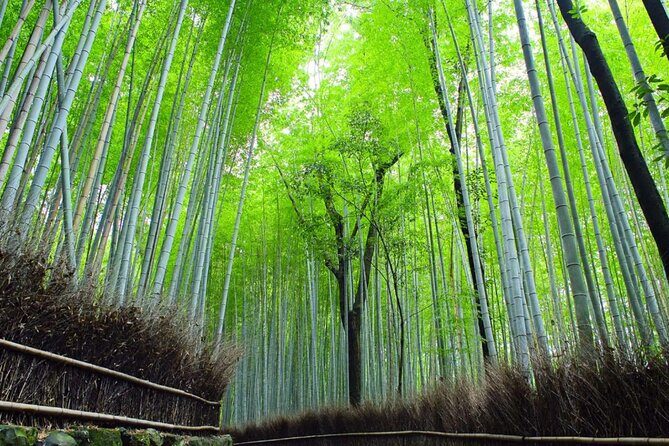 Kyoto: Arashiyama Early Access Bamboo & Temple Tour - The Sum Up