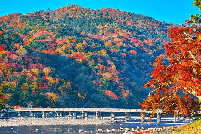 Kyoto Arashiyama: Fall Foliage Walking TourAutumn's limited - Key Points