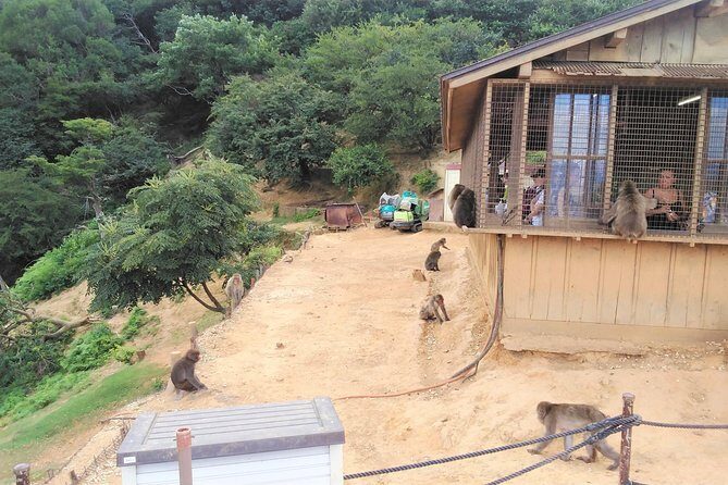 Kyoto Arashiyama & Golden Pavilion One-Day Walking Tour - Discovering Kyoto’s Charm in One Day