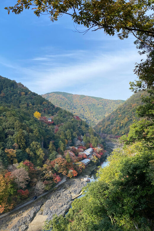 Kyoto: Arashiyama Guided Tour, Bamboo, Monkey, Zen Temple - FAQ