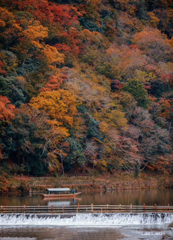 Kyoto Arashiyama & Katsuoji Temple Internet-Famous Scenic Spots Check-in: Arashiyama Scenic Railway & Fushimi Inari-taisha Shrine Senbon Torii & Internet-Famous Katsuoji Temple Daruma Doll One-Day Tour | Depart from Osaka or Kyoto - Is the price good value?