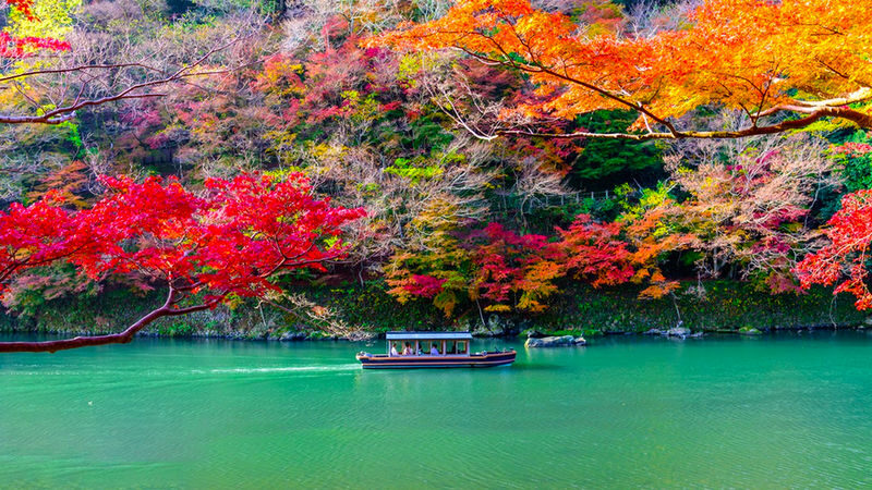 Kyoto Arashiyama & Katsuoji Temple Internet-Famous Scenic Spots Check-in: Arashiyama Scenic Railway & Fushimi Inari-taisha Shrine Senbon Torii & Internet-Famous Katsuoji Temple Daruma Doll One-Day Tour | Depart from Osaka or Kyoto - Who should book this day trip?