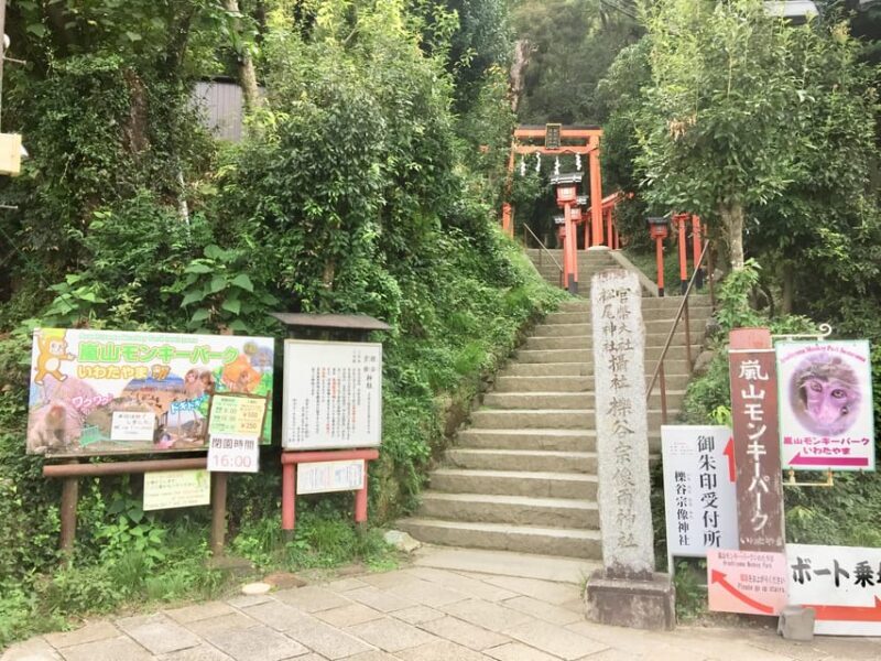 Kyoto: Arashiyama Monkey Park, Bamboo Forest, and Temples - Practical Tips for Making the Most of Your Day