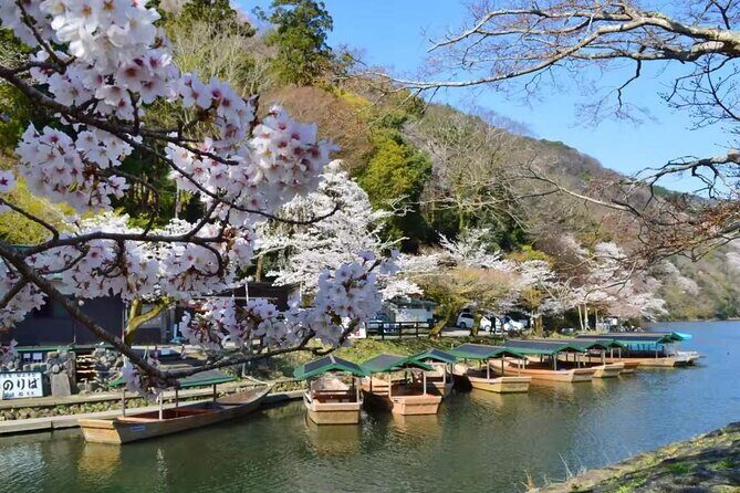 Kyoto Arashiyama, Nara Park, and Fushimi Shrine Tour - FAQ