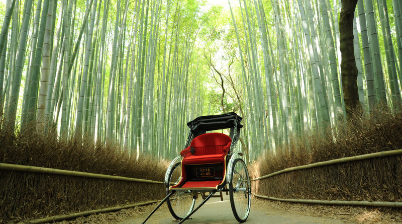 Kyoto Arashiyama Rickshaw Tour - Choosing 30, 70, 120 or 180 minutes