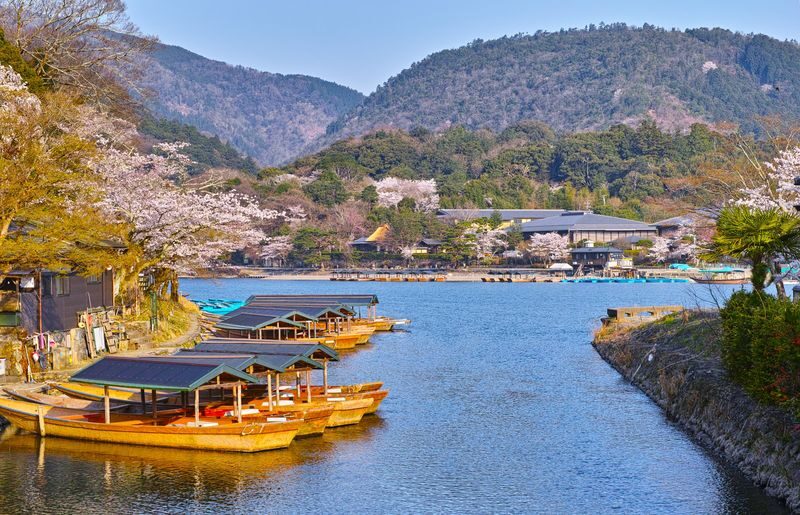 Kyoto Arashiyama: Sagano Scenic Railway (Optional) & Sanzen-in Temple Day Trip | Depart from Osaka/Kyoto - What the shared transport and guide mean