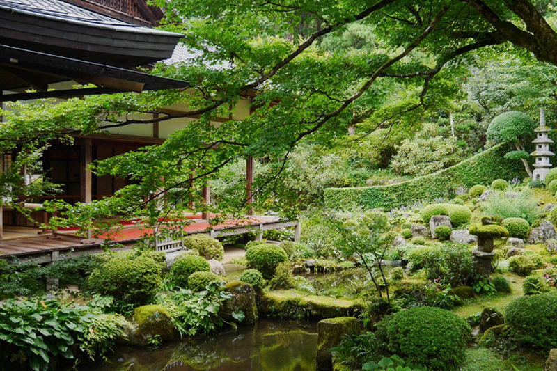 Kyoto Arashiyama: Sagano Scenic Railway (Optional) & Sanzen-in Temple Day Trip | Depart from Osaka/Kyoto - Who should book this day trip?