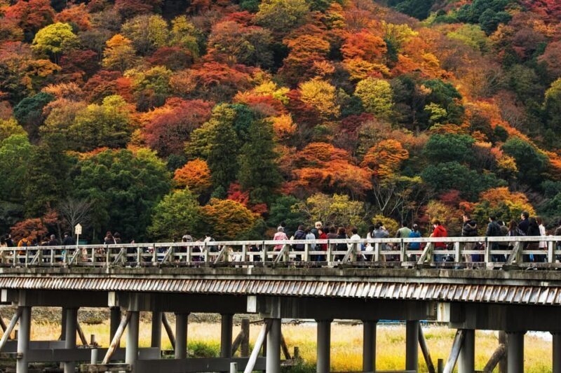 Kyoto: Arashiyama Tour with optional Sagano Romantic Train - What this tour offers in a nutshell