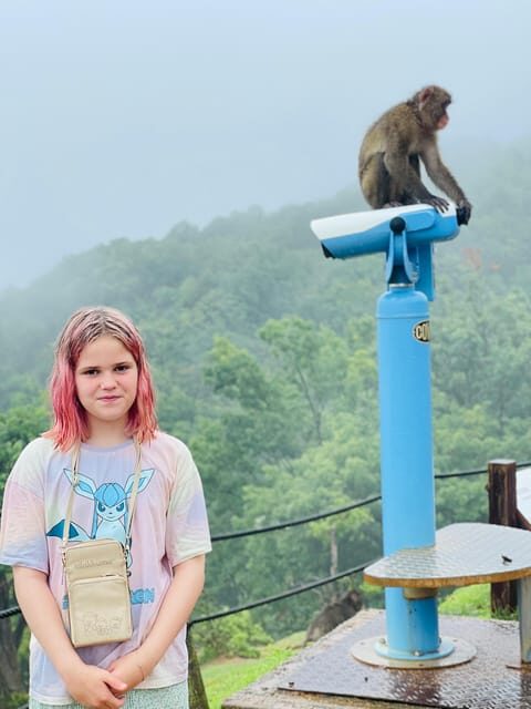 Kyoto Arashiyama Walking Tour: Bamboo Grove, Monkey&Secrets. - Authentic Experience in Kyoto’s Heart