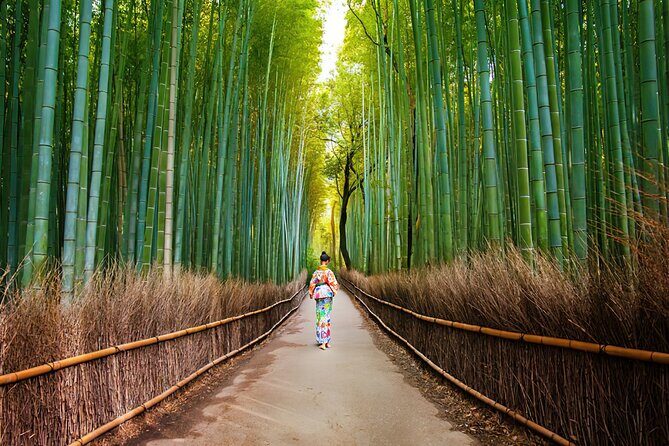 Kyoto Arashiyama Walking Tour - Bamboo, Monkeys, Temple & Secrets - Authentic Experiences and Why They Matter