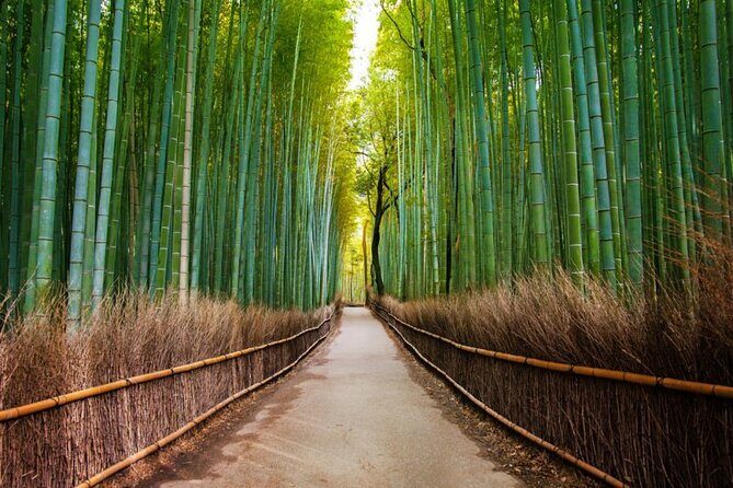 Kyoto Arashiyama Walking Tour - Bamboo, Monkeys, Temple & Secrets - Who Should Consider This Tour?