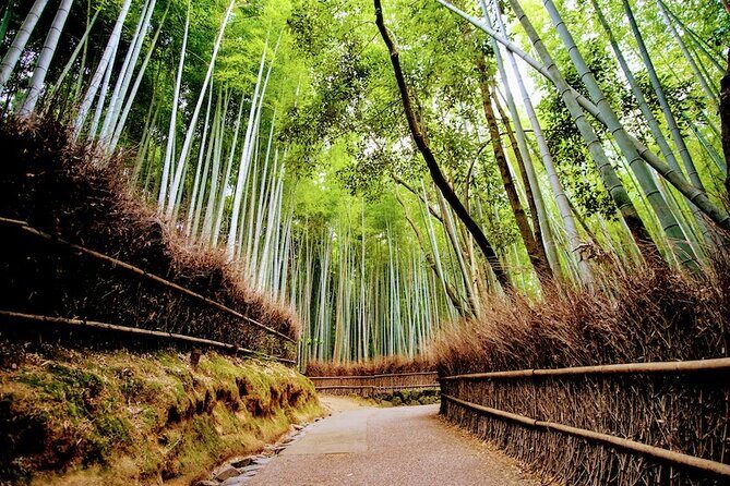 Kyoto Arashiyama Walking Tour - Bamboo, Monkeys, Temple & Secrets - Frequently Asked Questions