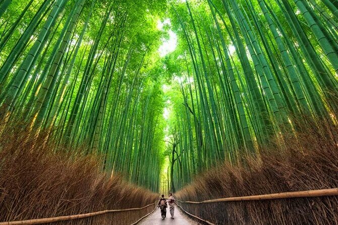 Kyoto: Arashiyama Walking Tour UNESCO World Heritage - An In-Depth Look at the Kyoto Arashiyama Walking Tour