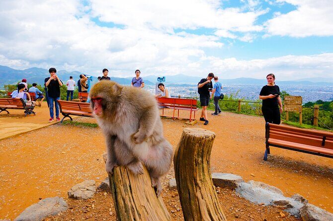 Kyoto: Arashiyama Walking Tour UNESCO World Heritage - Who Should Consider This Tour?