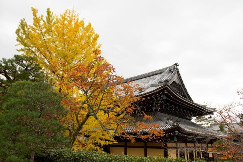 Kyoto: Authentic Biking Half Day Experience - An In-Depth Look at the Experience